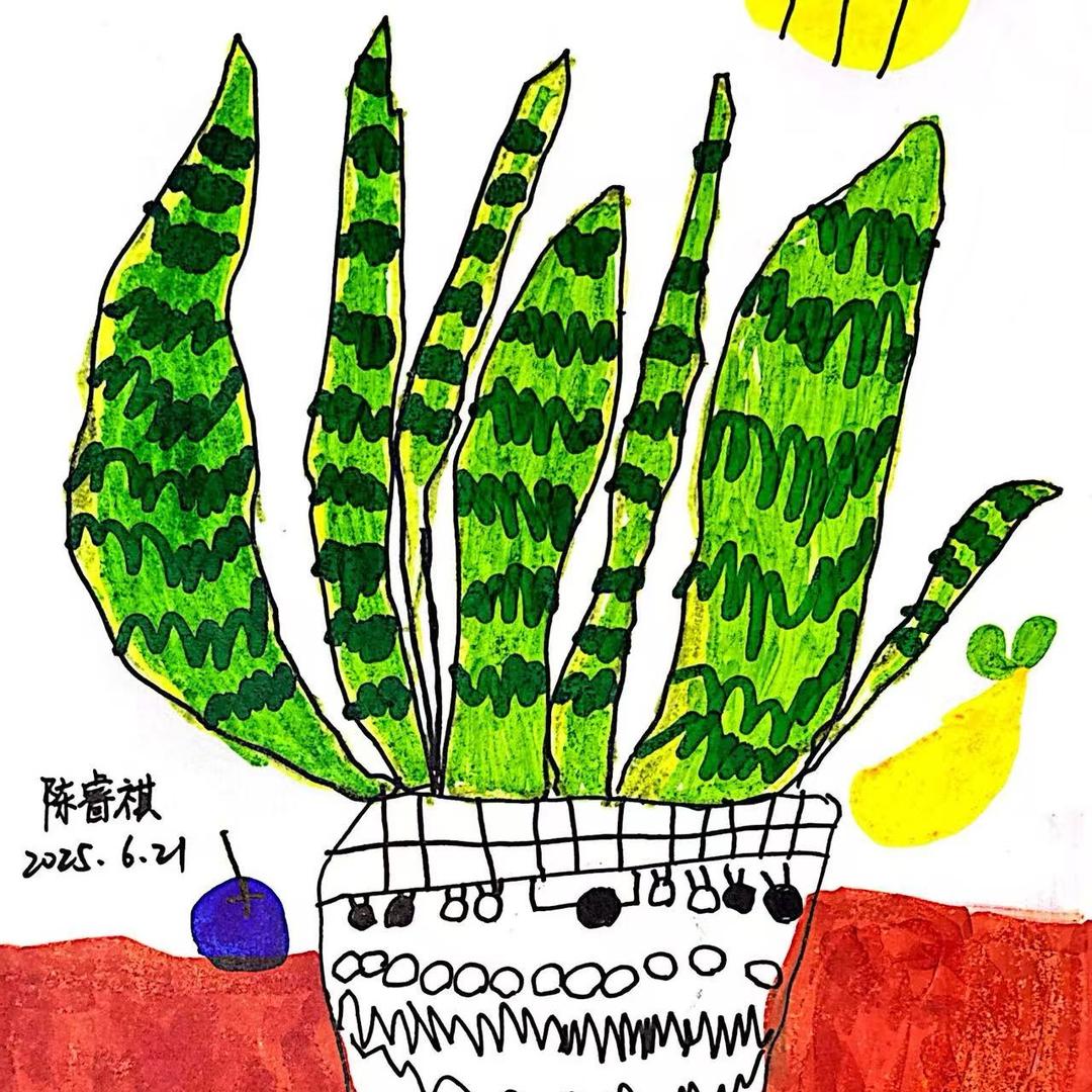 菡宝宽宝