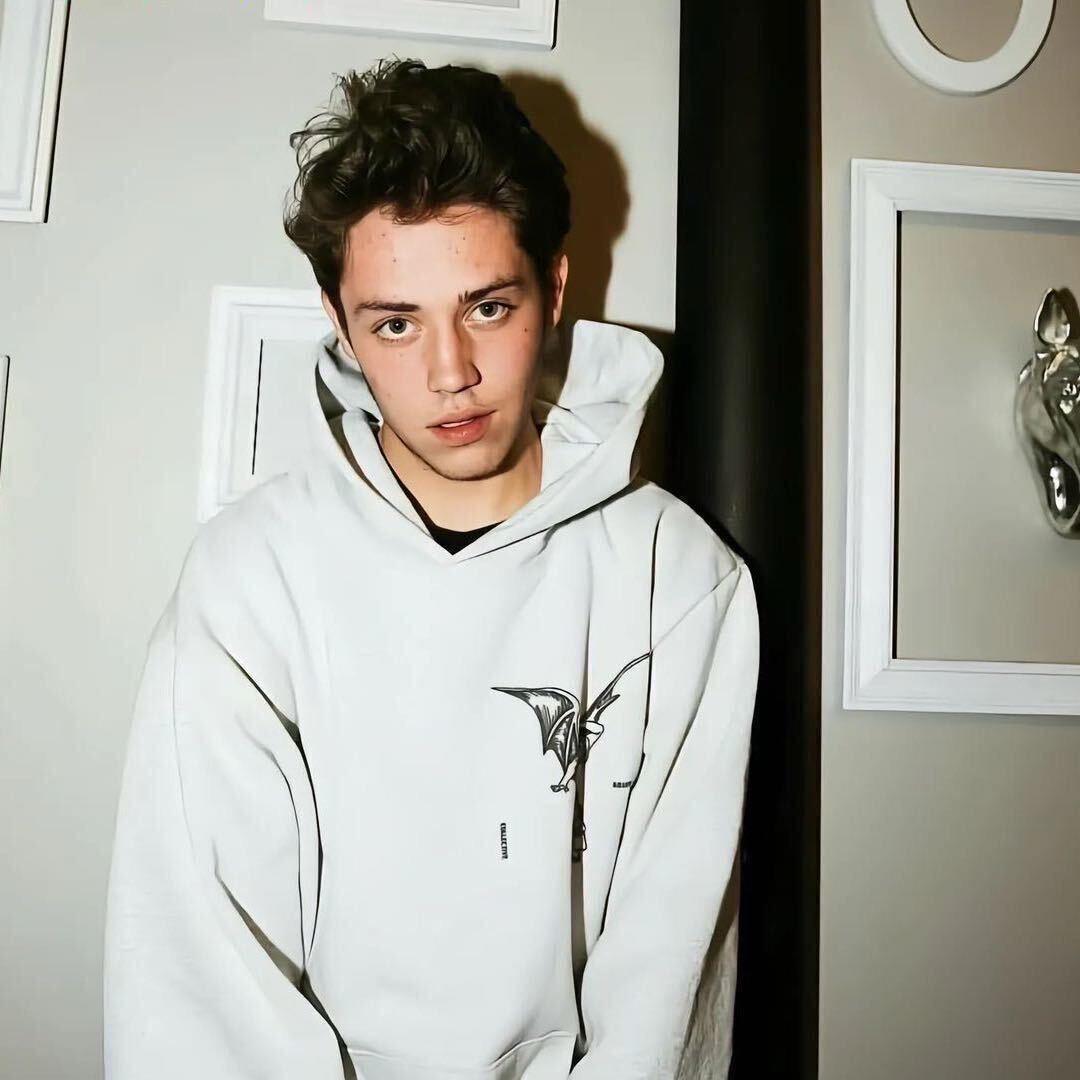 过于真实的人机2733