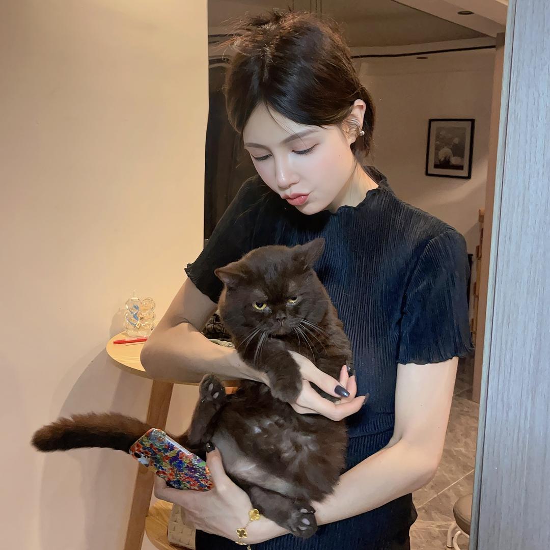 秋雅西
