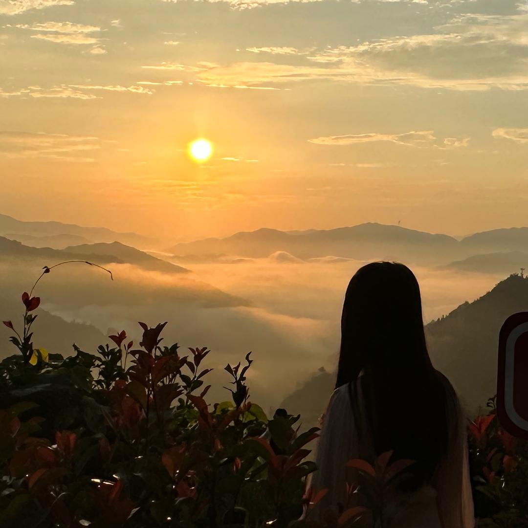 小可愛🐑🍃