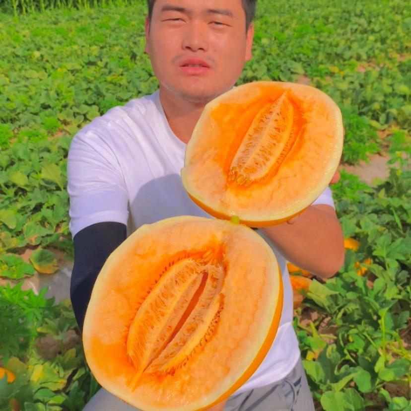 果园采摘直发