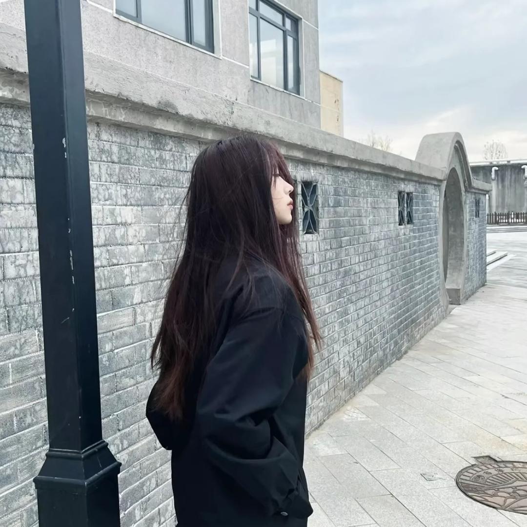 闪电小狗·