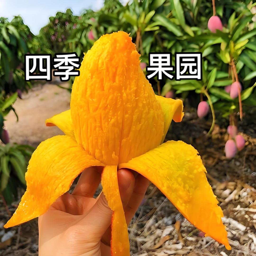 四季果园