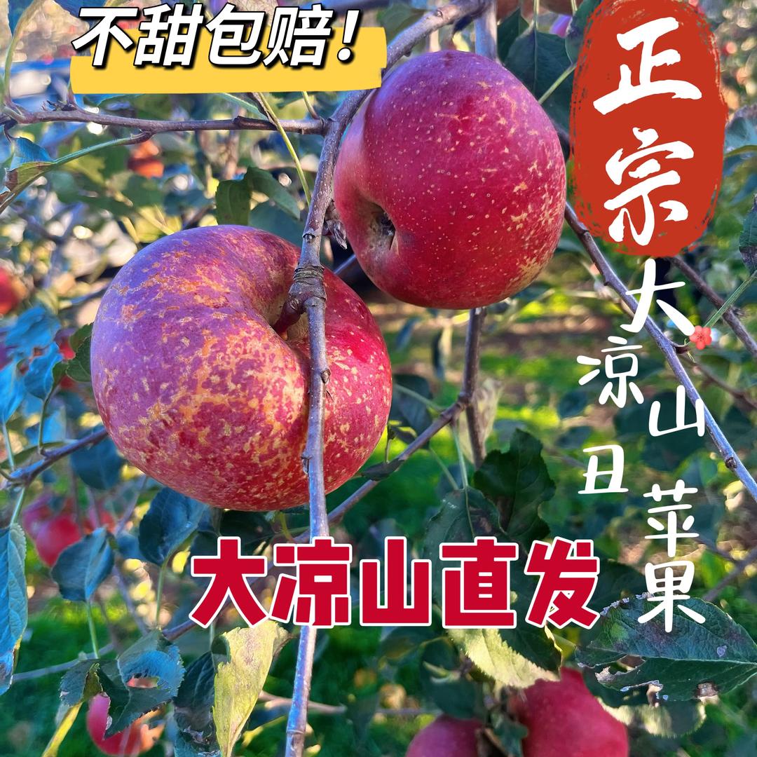 盛世商贸新鲜水果严选店