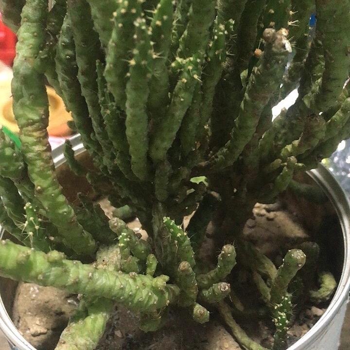 觅绘百货