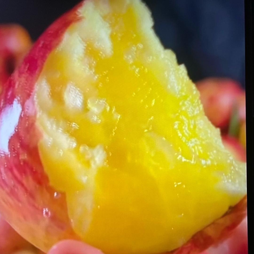 孟良崮山下有人家