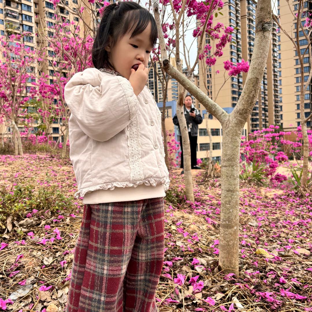 榴花优选好物