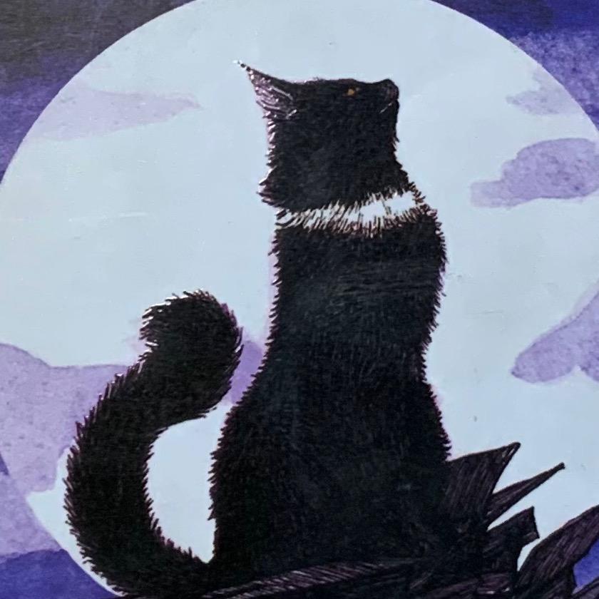 白月下的黑猫（猫武士）