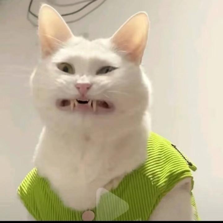 王小拽