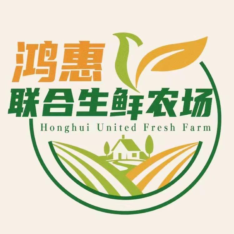 鸿惠联合供应链