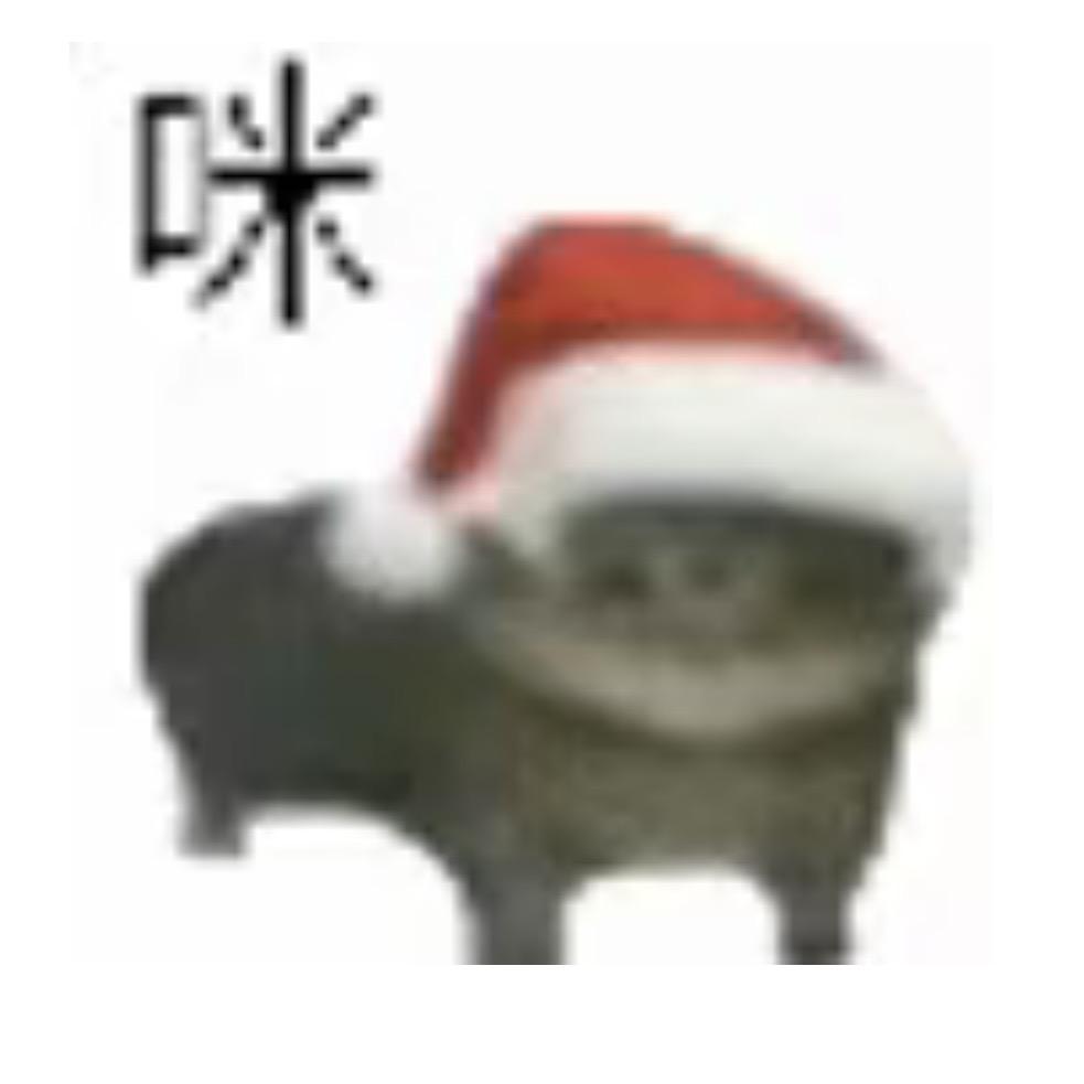 小💩