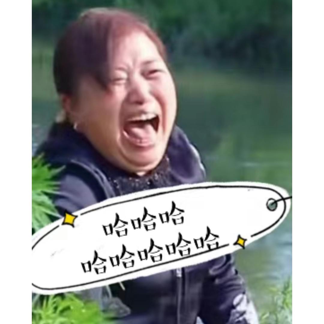 莲姐