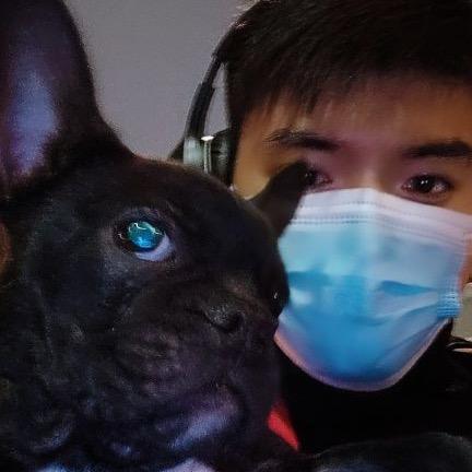 梦幻手游柒狗
