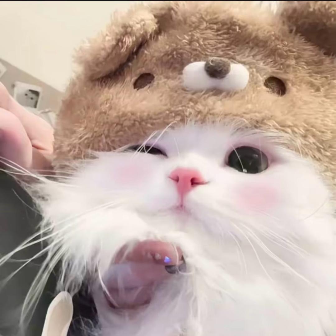 咬咬