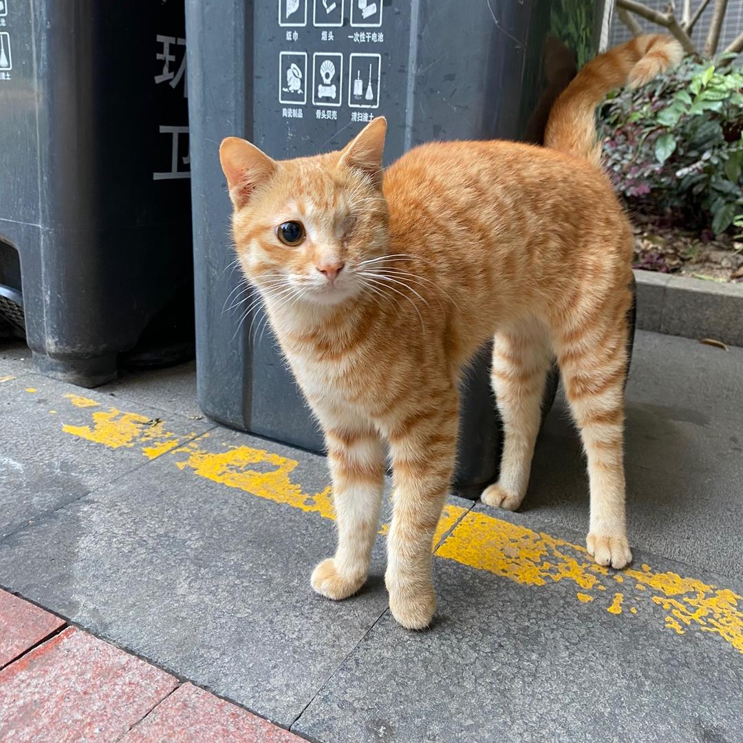 伍仲均