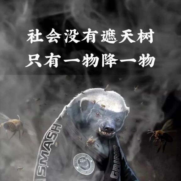 小平头