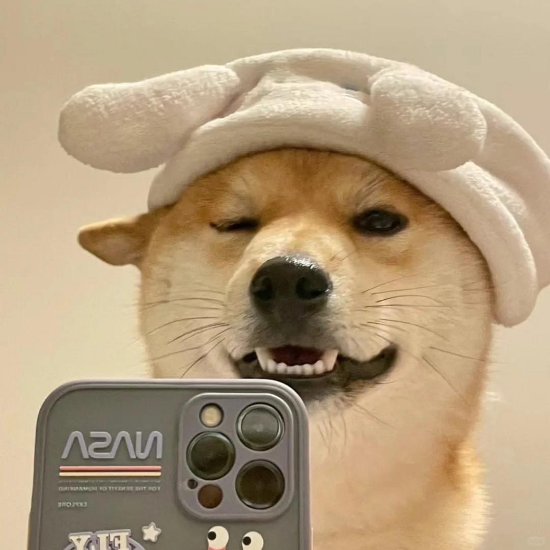 宝总有货