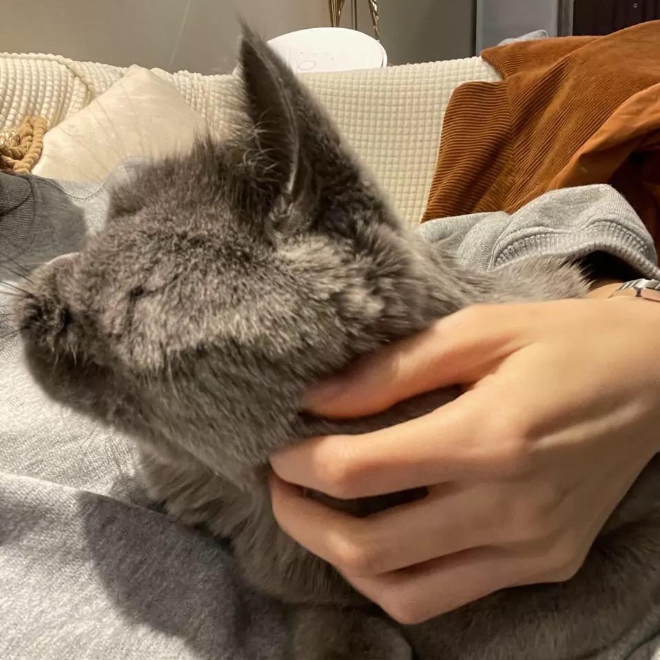 橙嘻嘻🧚‍♀️