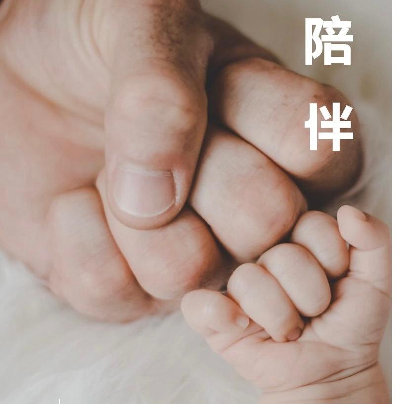 喜宝儿日常