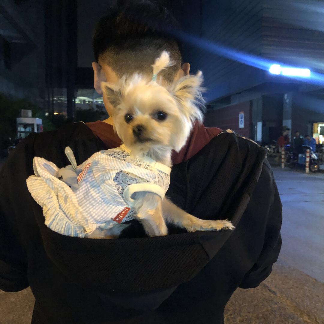 疯狂外星人
