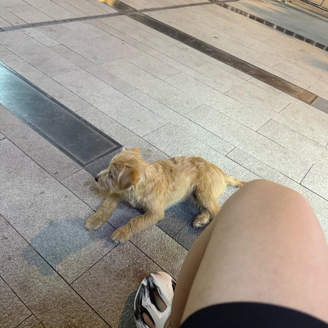 漏网之鱼