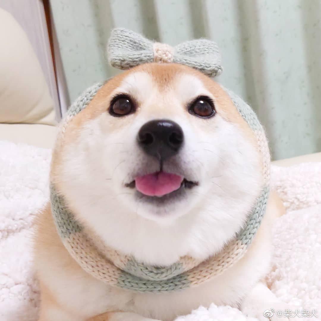 宵夜夜夜子