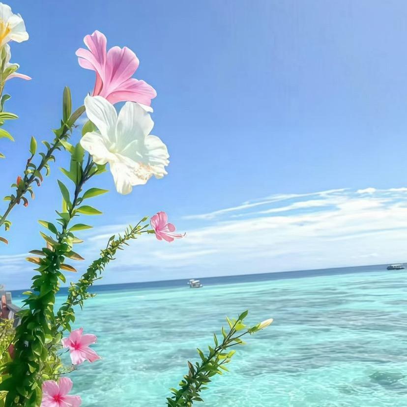 小助理1688🍀