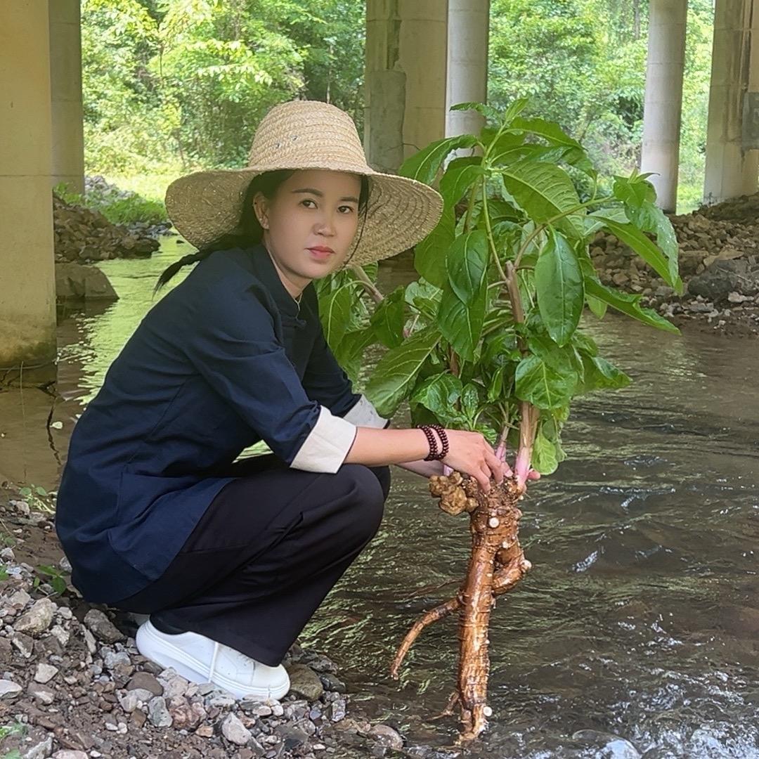 苗老师讲苗方1️⃣