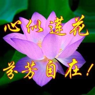 花井富贵