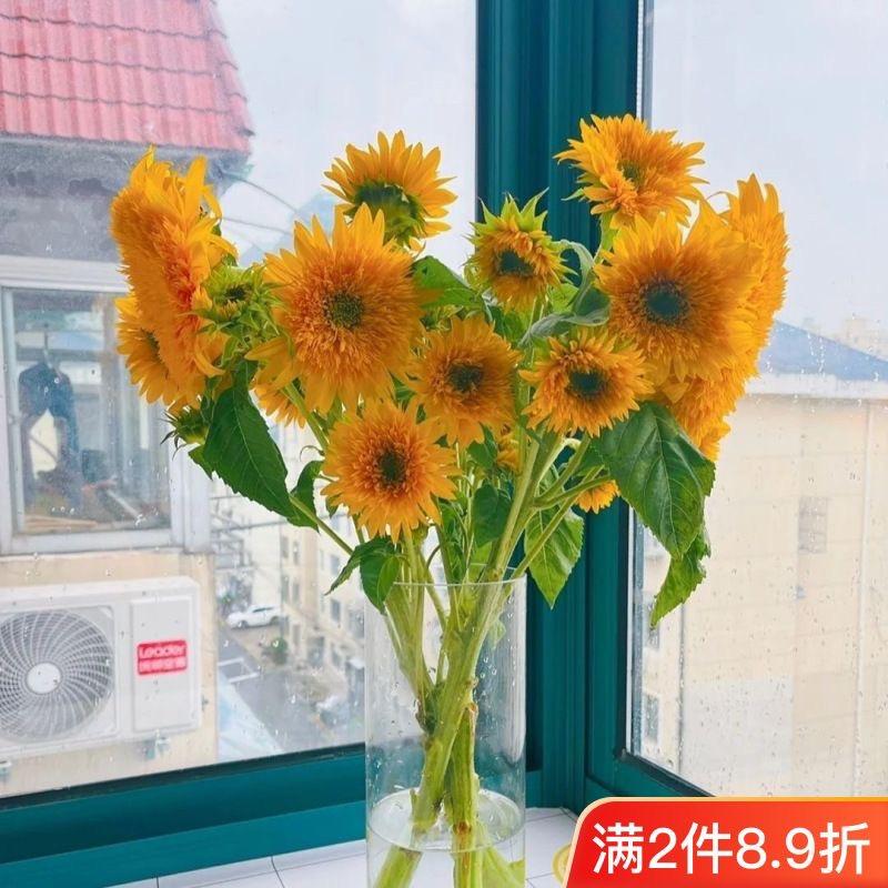 云南金合艺盟花卉有限公司