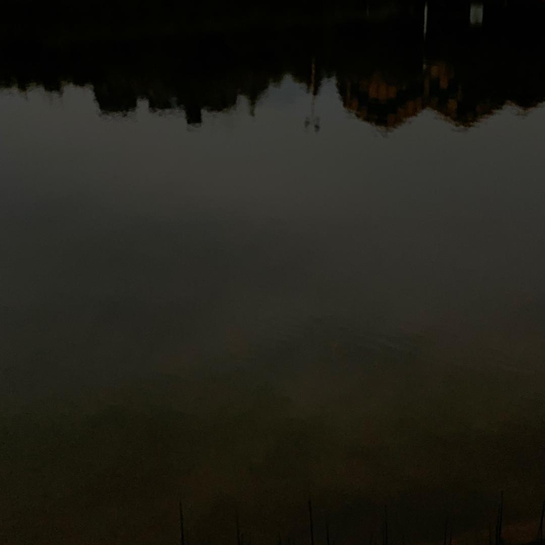 槲樨蔓生