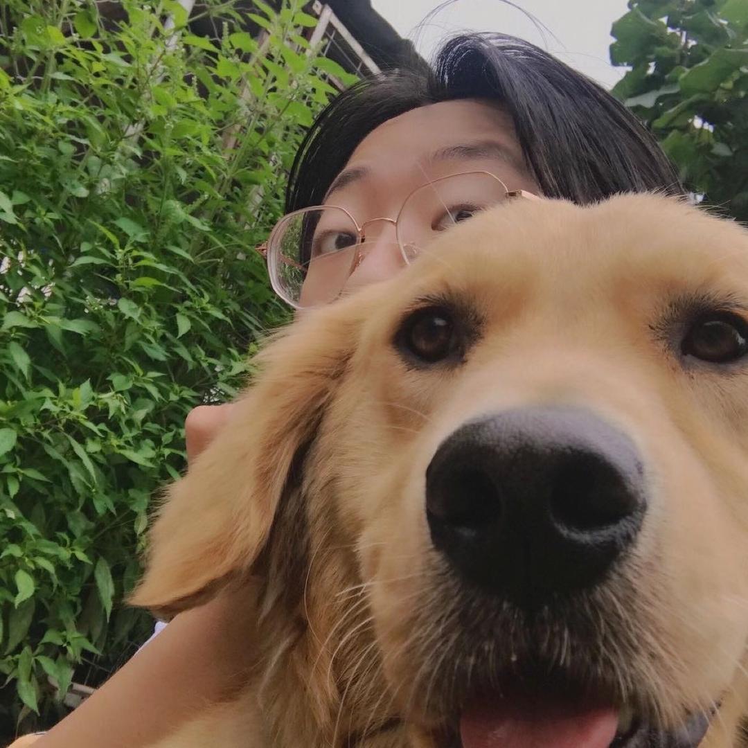 杨羊阳春面