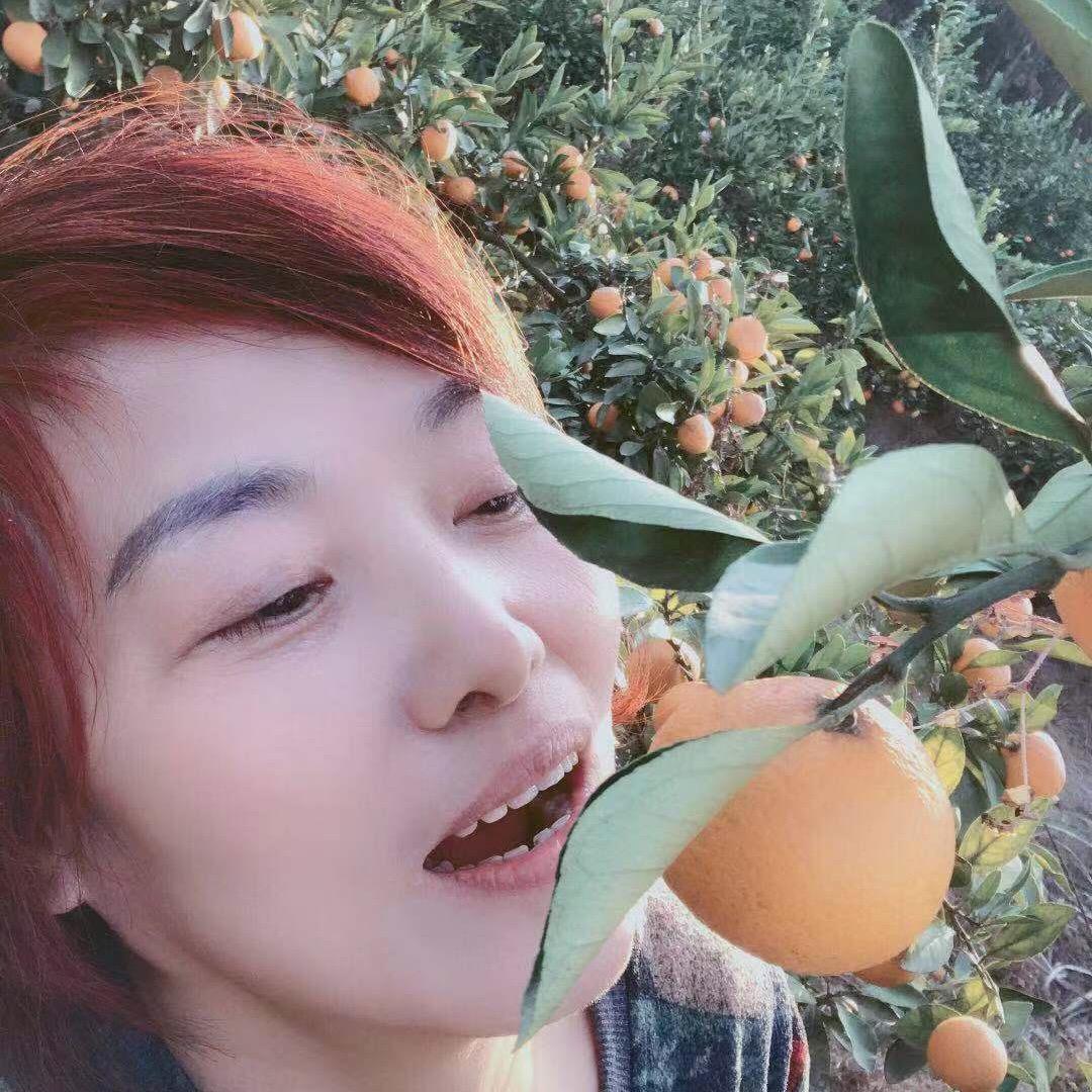 珍姐（手机摄影）