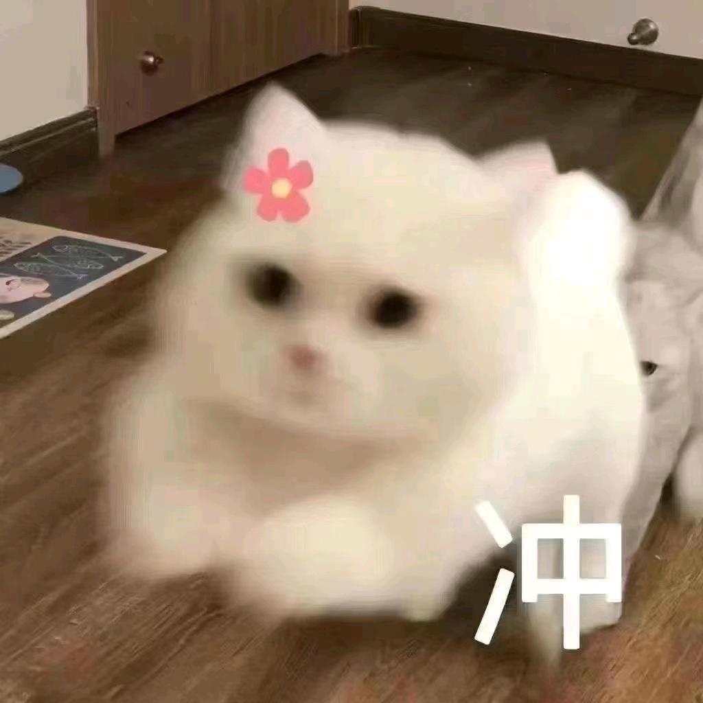 🌈橙子pro max
