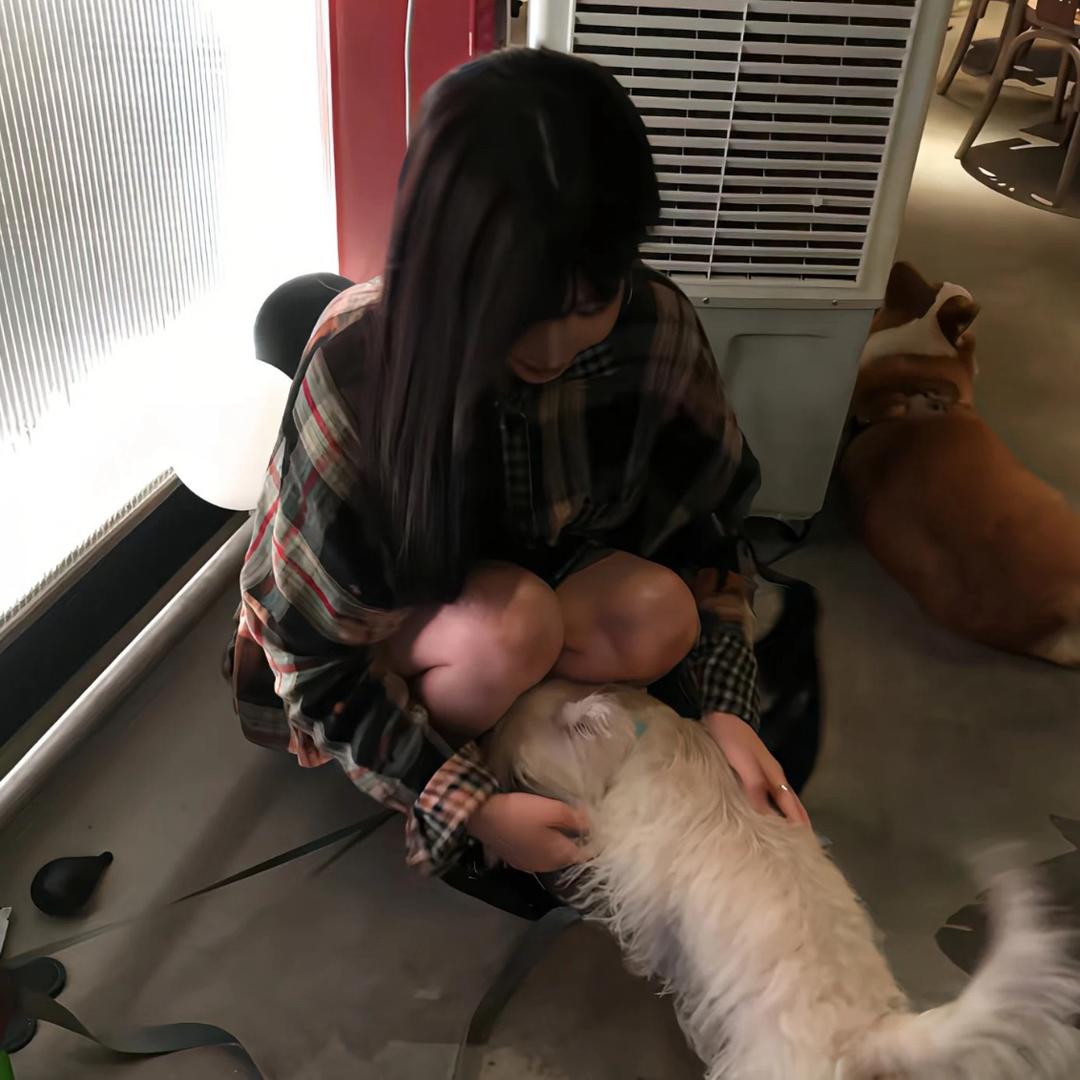 卖萌被打掉门牙