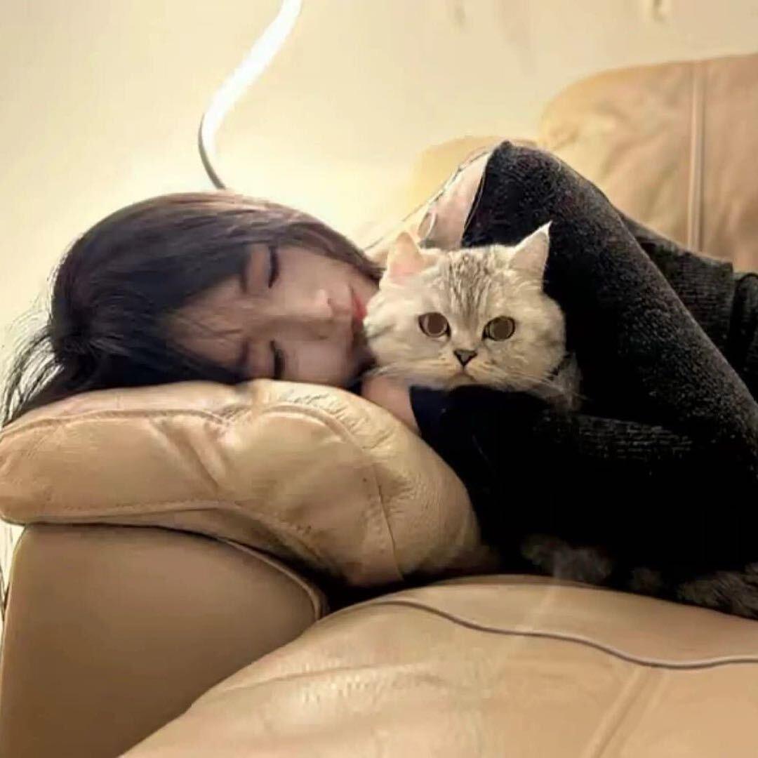 椰椰