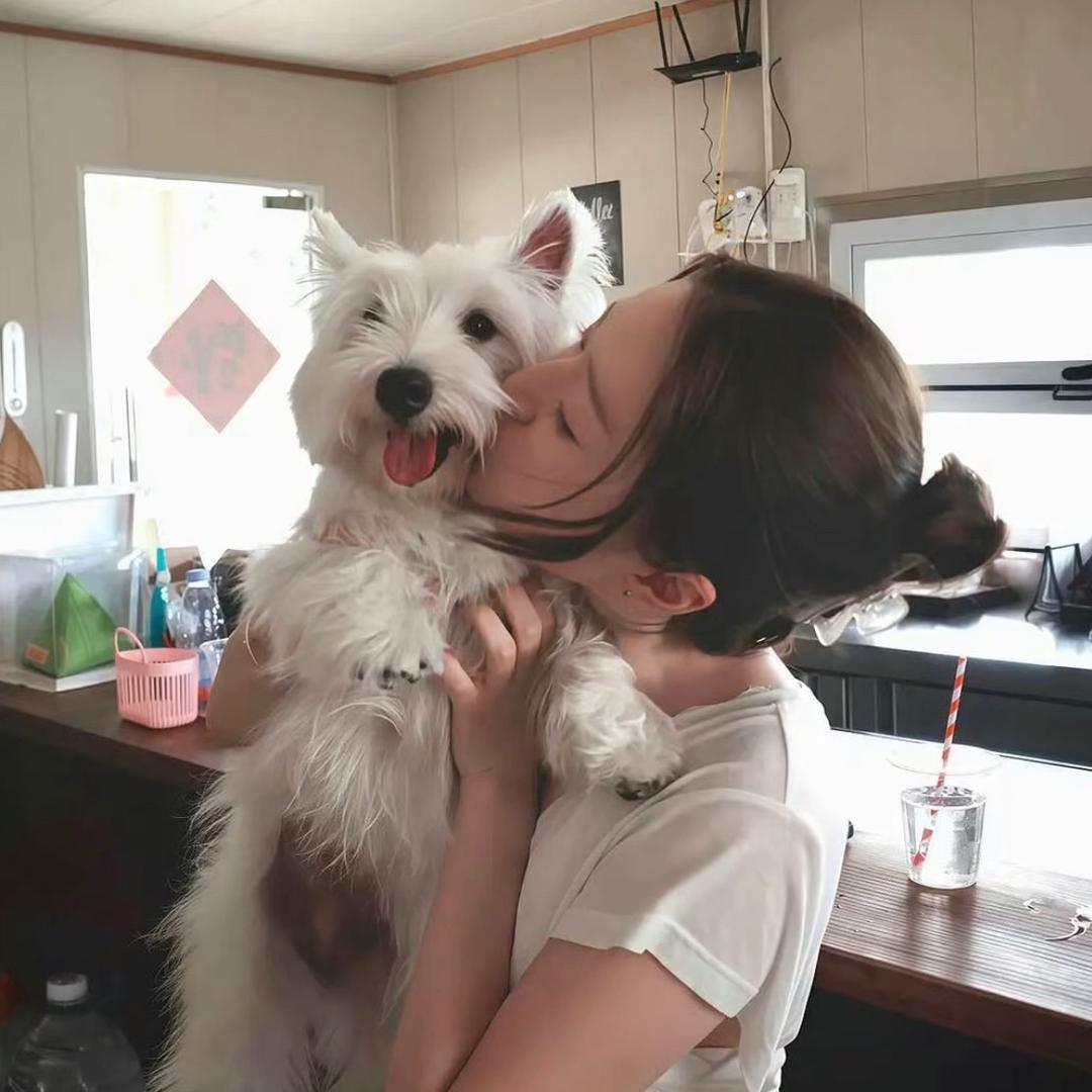 泡芙味的女孩子👧