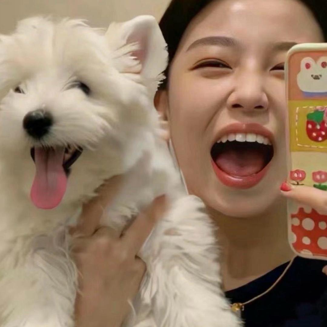 西北夹心小饼干🍪