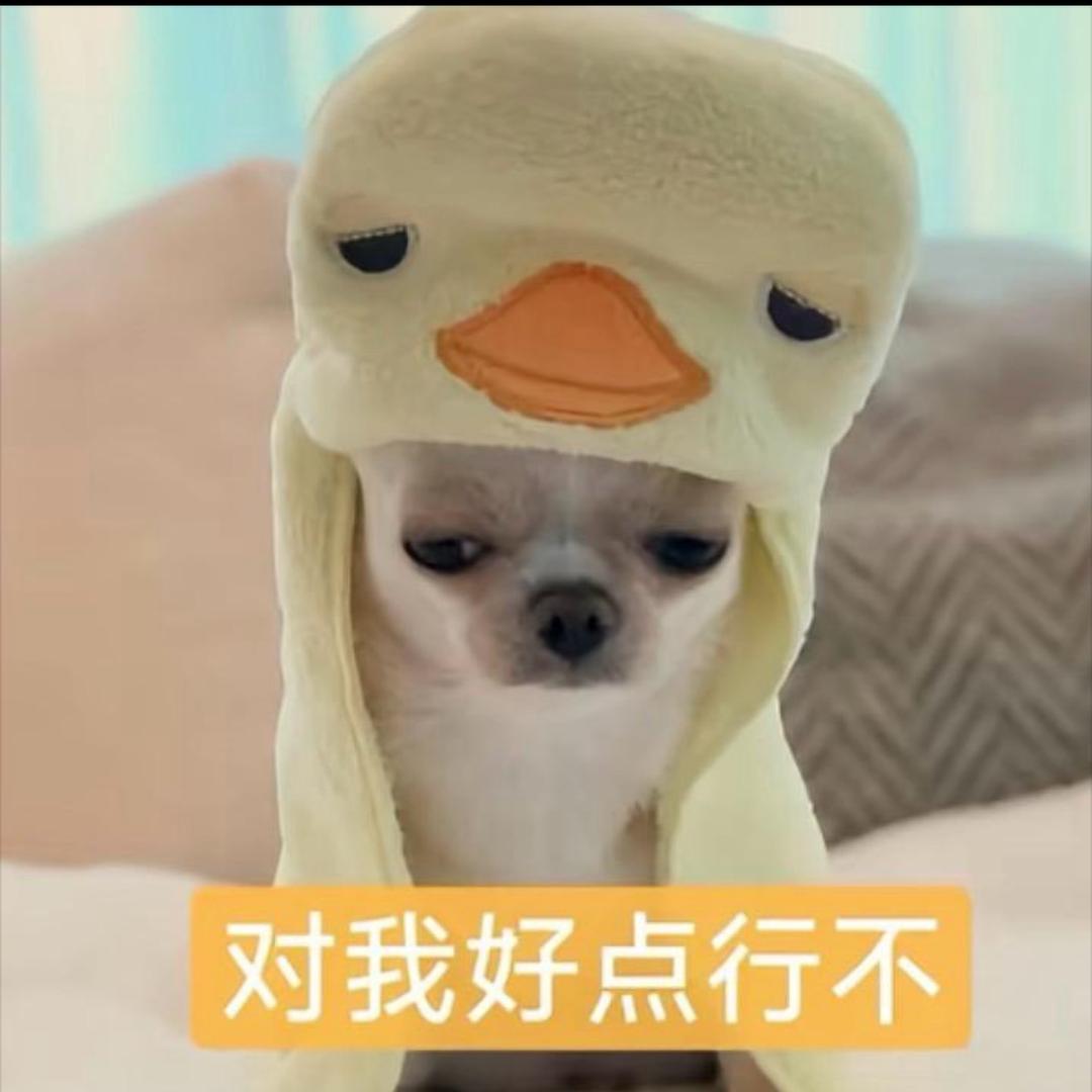 芝士火鸡面加个蛋
