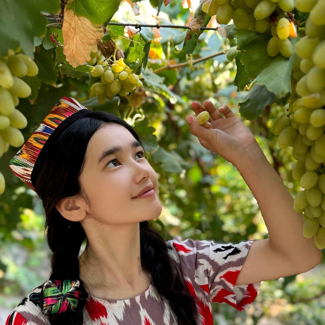 托克逊季节特产