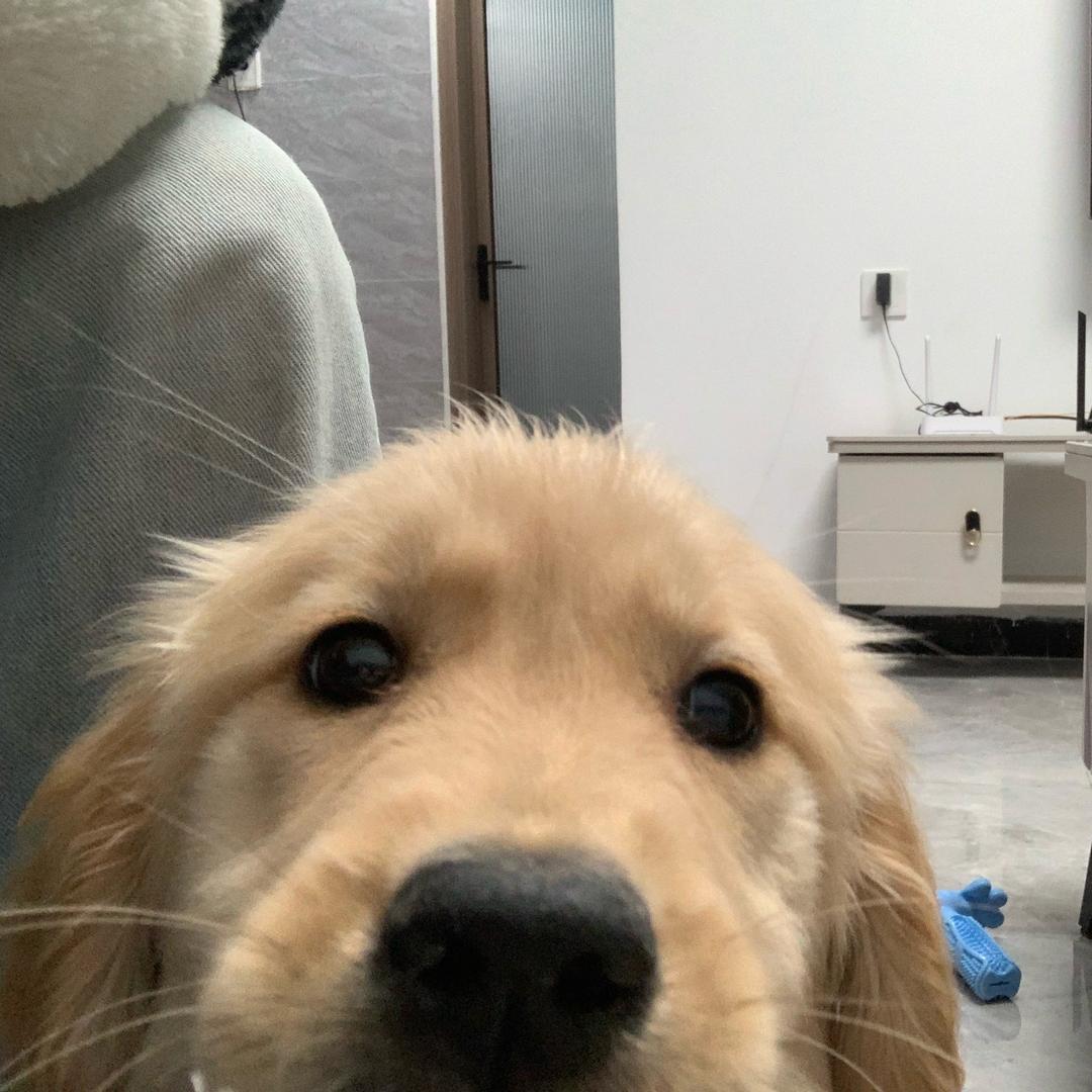 云栖