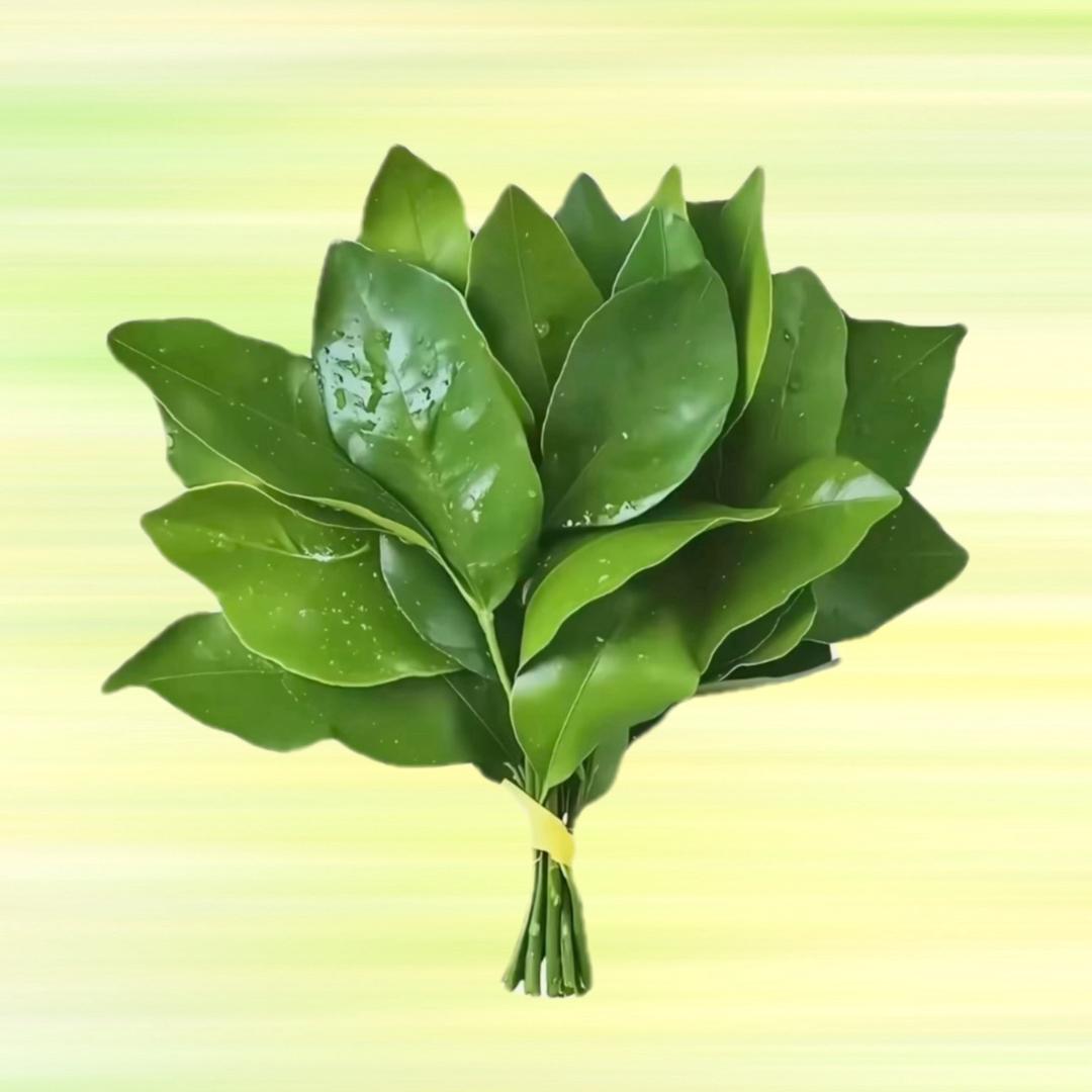 ✨手可摘棉花✨