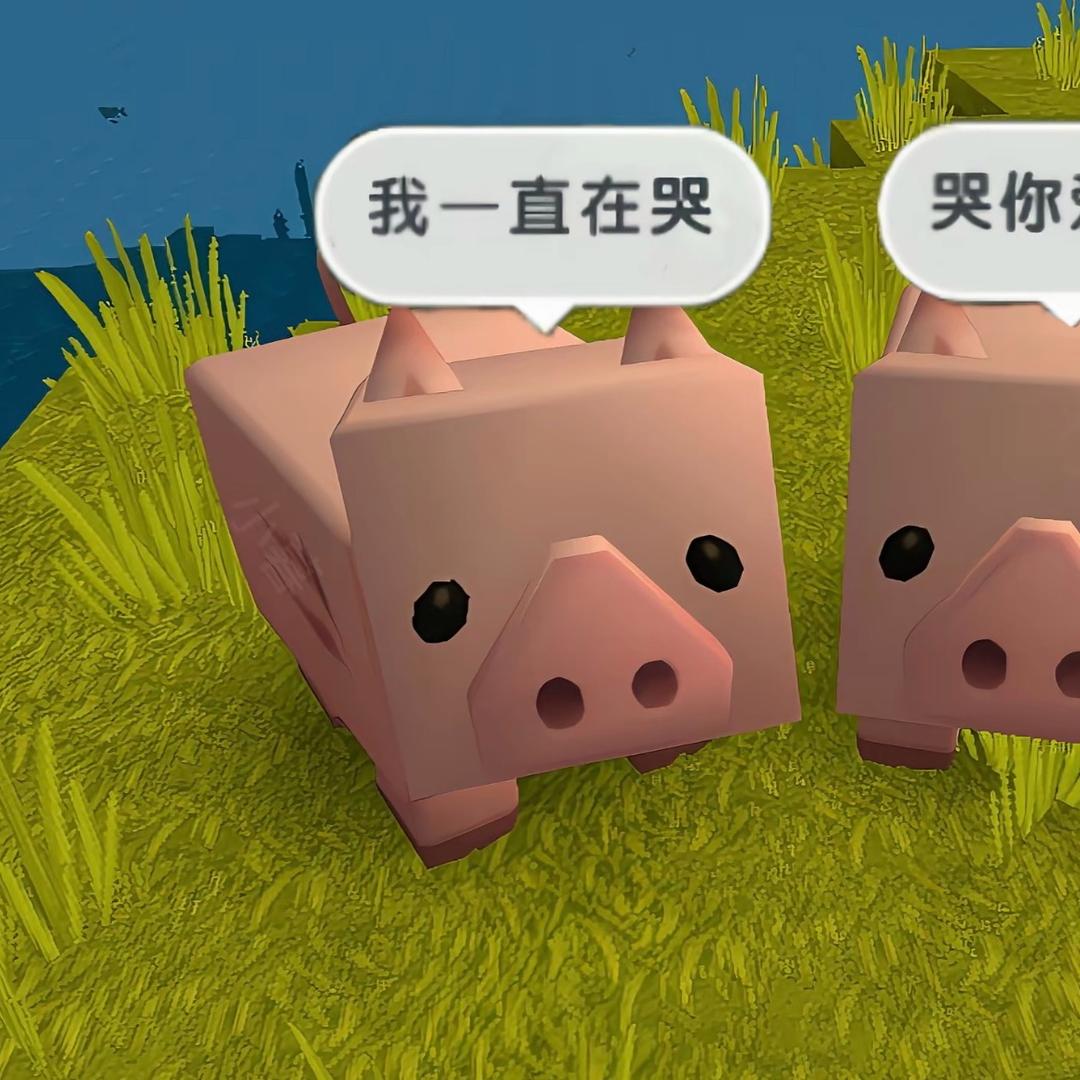哇哈哈🍔