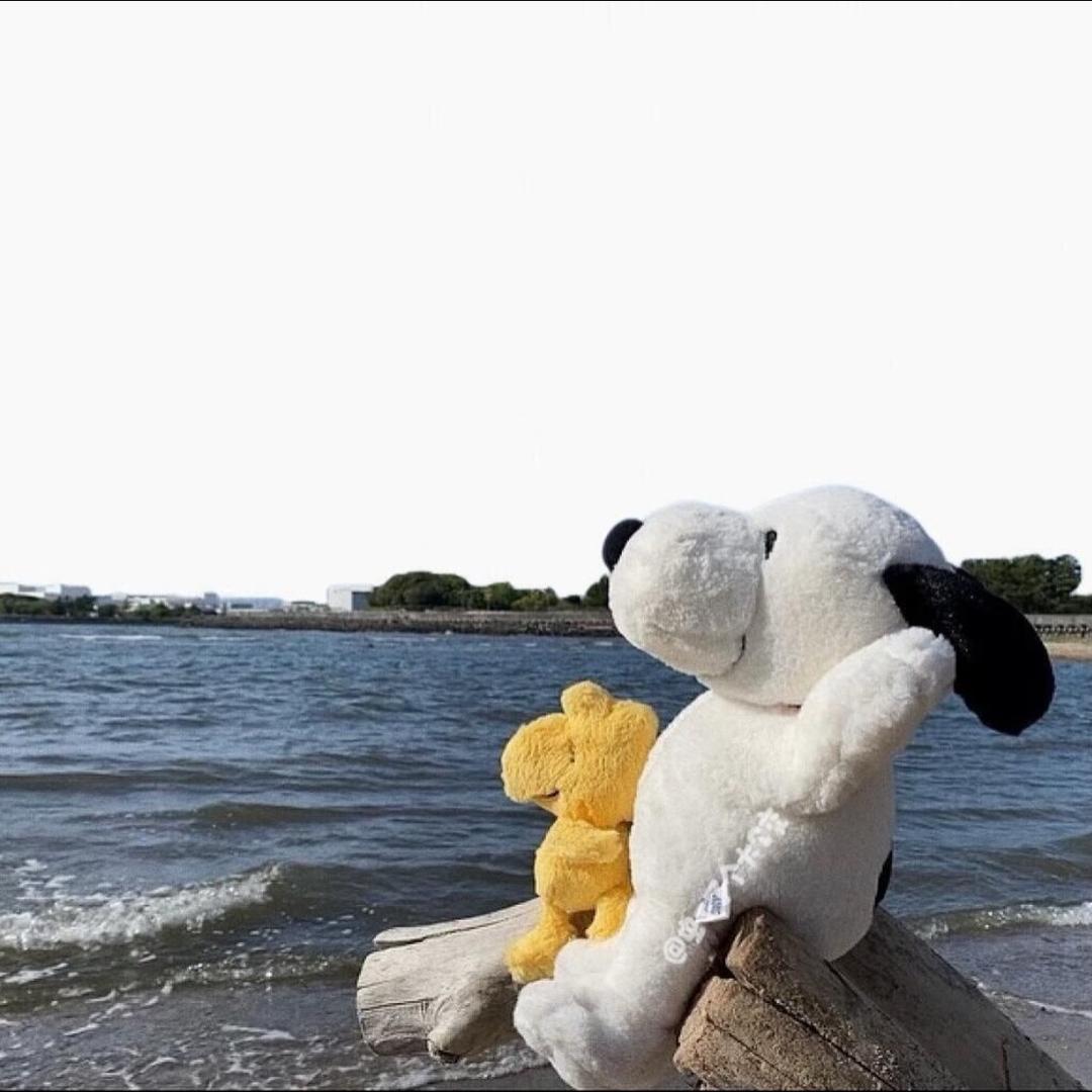 麦兜🐶