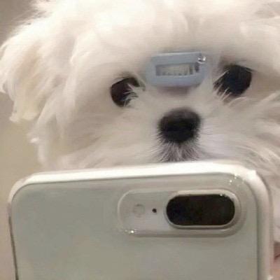 李嘉图
