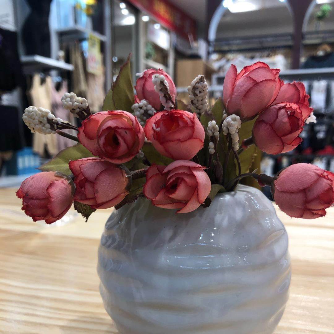 雪(๐•̆ ·̭ •̆๐)