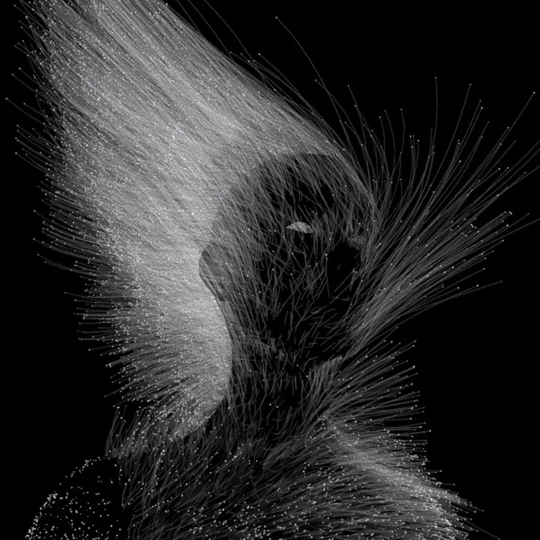 ㅤ              ㅤ