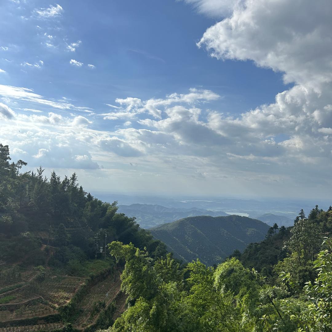 我分不一样