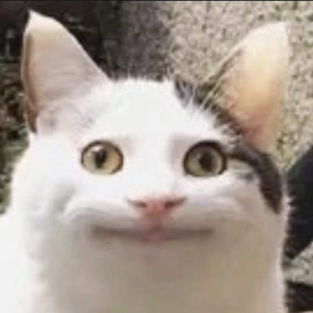🐱的面具