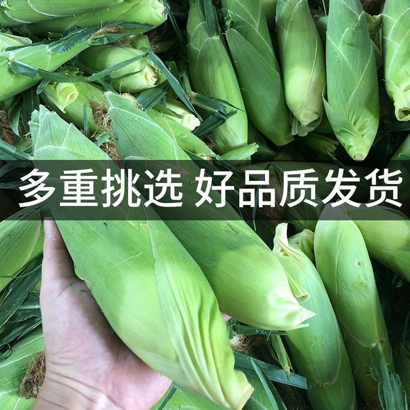 拾壹果蔬